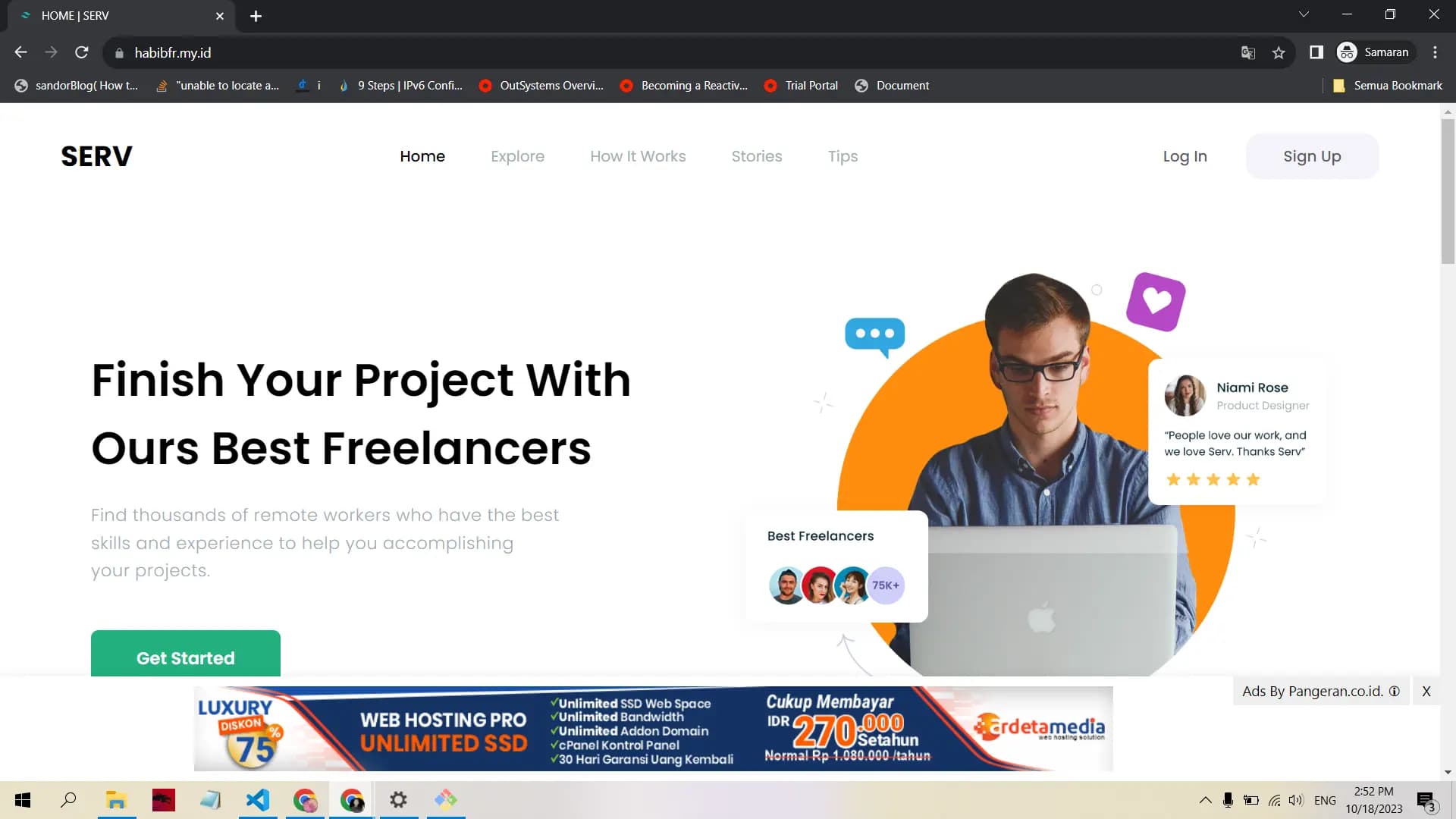 Freelancer Website